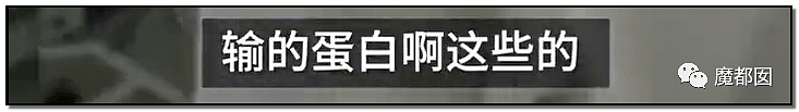 激怒央视！男子残忍用开水活活浇烫怀孕母猫事件引发全网悲愤（组图） - 57