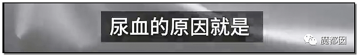 激怒央视！男子残忍用开水活活浇烫怀孕母猫事件引发全网悲愤（组图） - 58