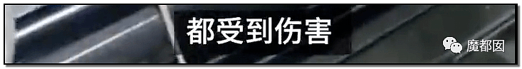 激怒央视！男子残忍用开水活活浇烫怀孕母猫事件引发全网悲愤（组图） - 60