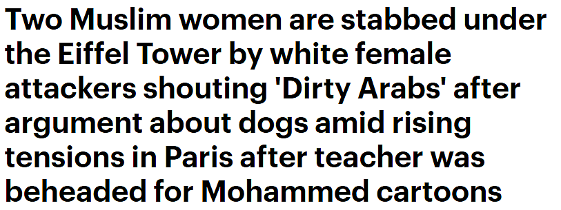 老师被斩首案持续发酵，法国将出版讽刺漫画集回应，穆斯林女被白人刺伤（组图） - 14