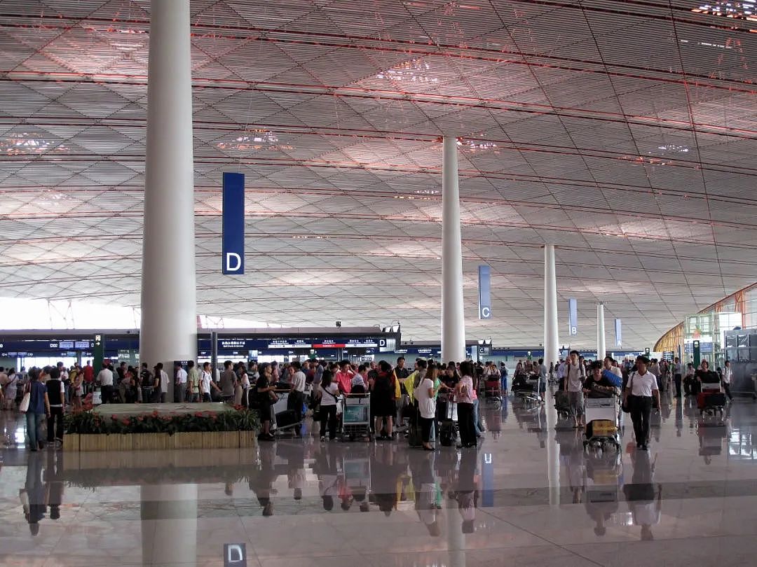 华人一家在北京机场被捕 在美杀人毁尸后 连夜带娃逃回国（组图） - 6