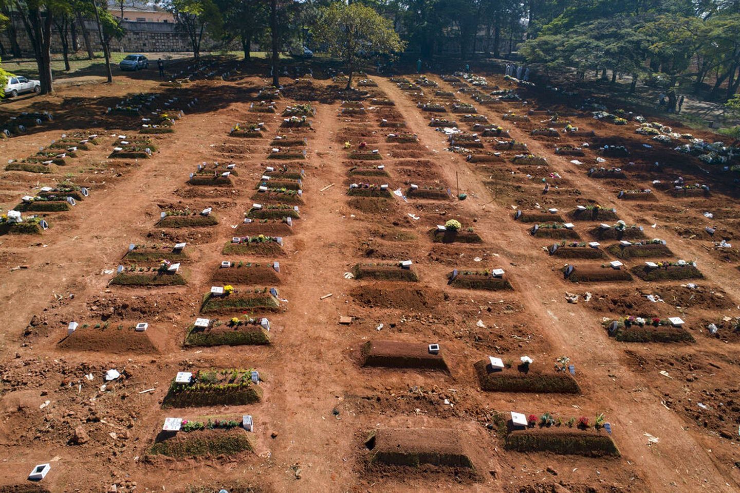 巴西新冠肺炎疫情严重，确诊和死亡人数均居全球前列。 图为2020年8月6日，位于巴西圣保罗的一处坟场。 （AP）