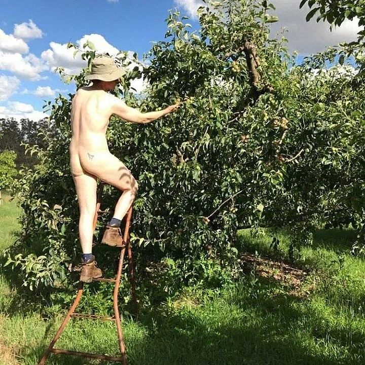 这两天，如果你在新西兰看到邻居在花园赤身裸体，千万别惊掉下巴…（组图） - 32