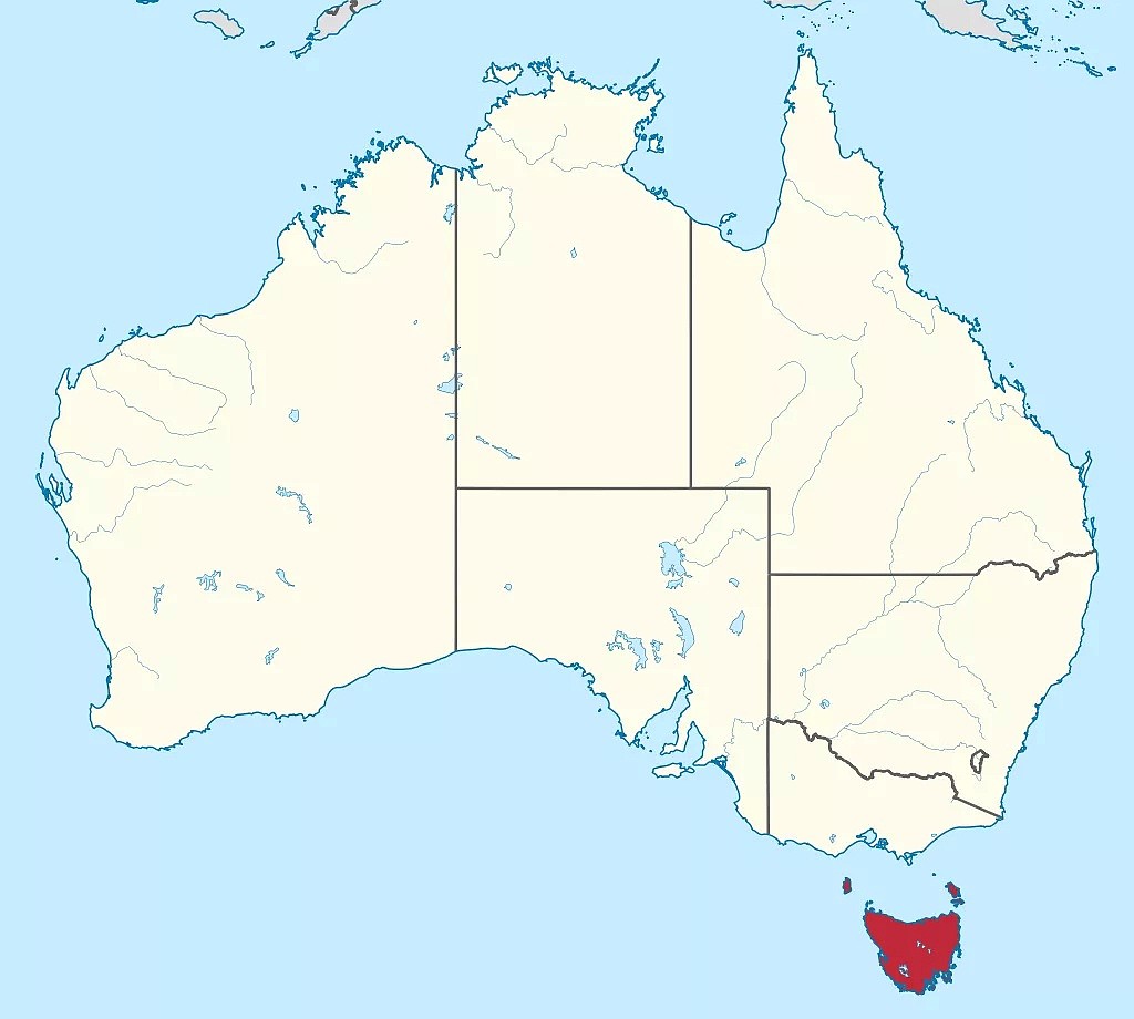 纽澳隔离圈又有新进展！儿童在新西兰检测阴性，抵达日本后确诊（组图） - 2