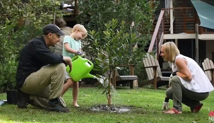 悉尼人人有份，新州政府免费送树苗！500万棵随意领，竟然还有蓝花楹树呀~ - 21