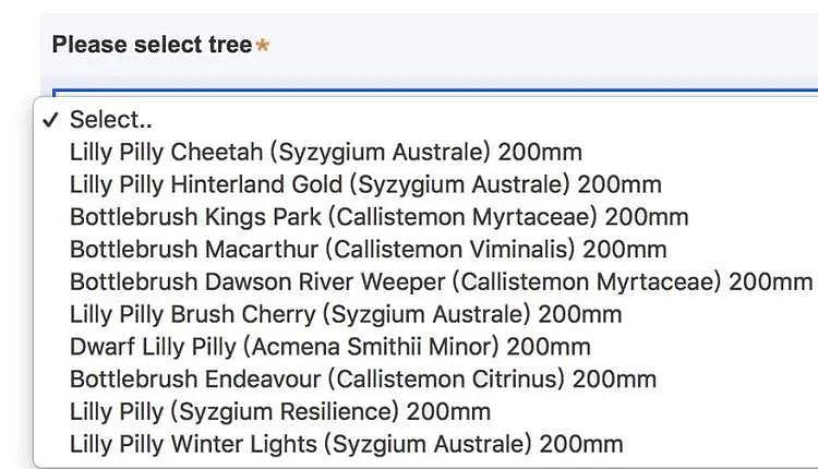 悉尼人人有份，新州政府免费送树苗！500万棵随意领，竟然还有蓝花楹树呀~ - 26