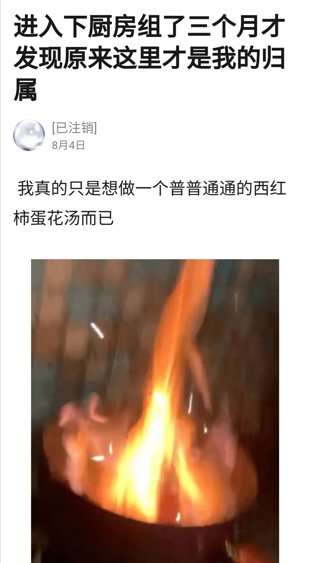 【爆笑】“炸厨房也是一种天赋！“ 哈哈哈哈哈被网友神厨艺笑窒息了（组图） - 47