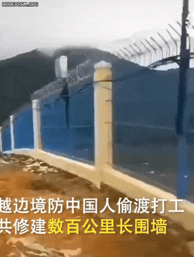 一批中国民工偷渡边境谋生被捕！中越边境建起数百公里围墙...（组图） - 1