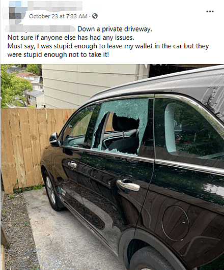 “被偷的都是亚裔！”众多新西兰华人已受害，院里的汽车被偷，市中心车窗被砸，赃物还挂网上出售…（组图） - 8