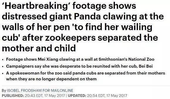 大熊猫疑遭美国动物园虐待，网友怒：把国宝接回中国！（组图） - 13