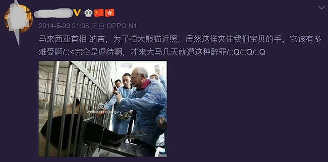 大熊猫疑遭美国动物园虐待，网友怒：把国宝接回中国！（组图） - 28