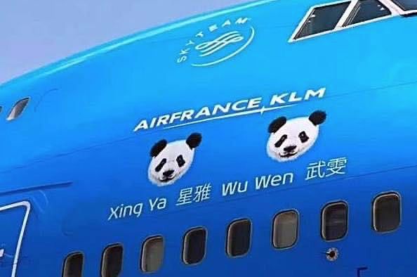 大熊猫疑遭美国动物园虐待，网友怒：把国宝接回中国！（组图） - 35