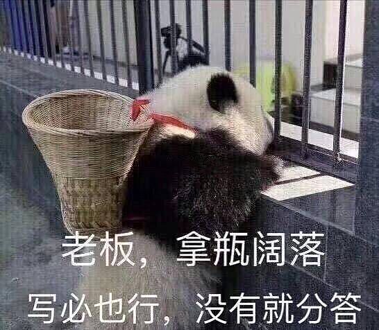 大熊猫疑遭美国动物园虐待，网友怒：把国宝接回中国！（组图） - 38
