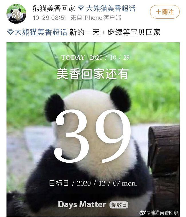 大熊猫疑遭美国动物园虐待，网友怒：把国宝接回中国！（组图） - 39