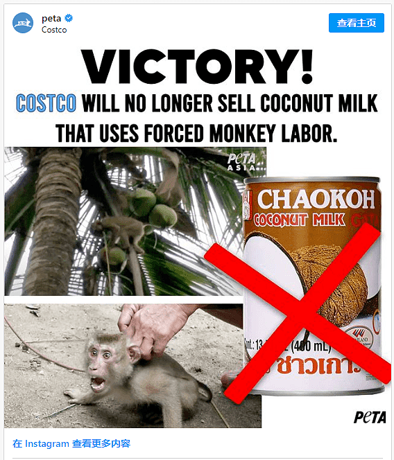 惹众怒！Costco停售热卖椰奶，网友发起抵制，华人会员爱用的信用卡被取消（视频/组图） - 9