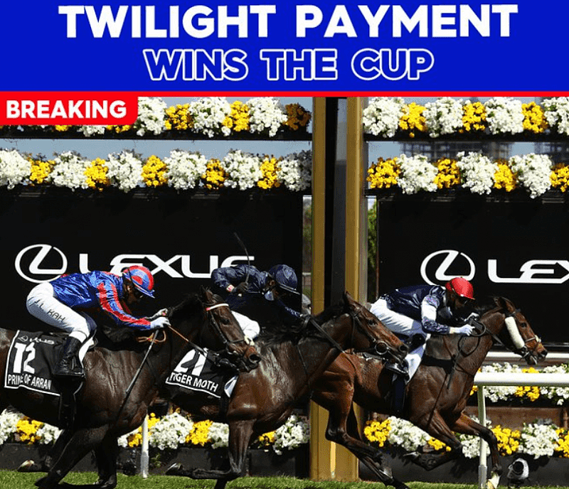 快讯:墨尔本杯结果出炉,Twilight Payment夺冠(图) - 1