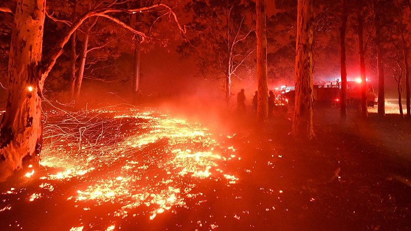 https___cdn.cnn.com_cnnnext_dam_assets_191231090446-08-australia-fires-1231.jpg,0