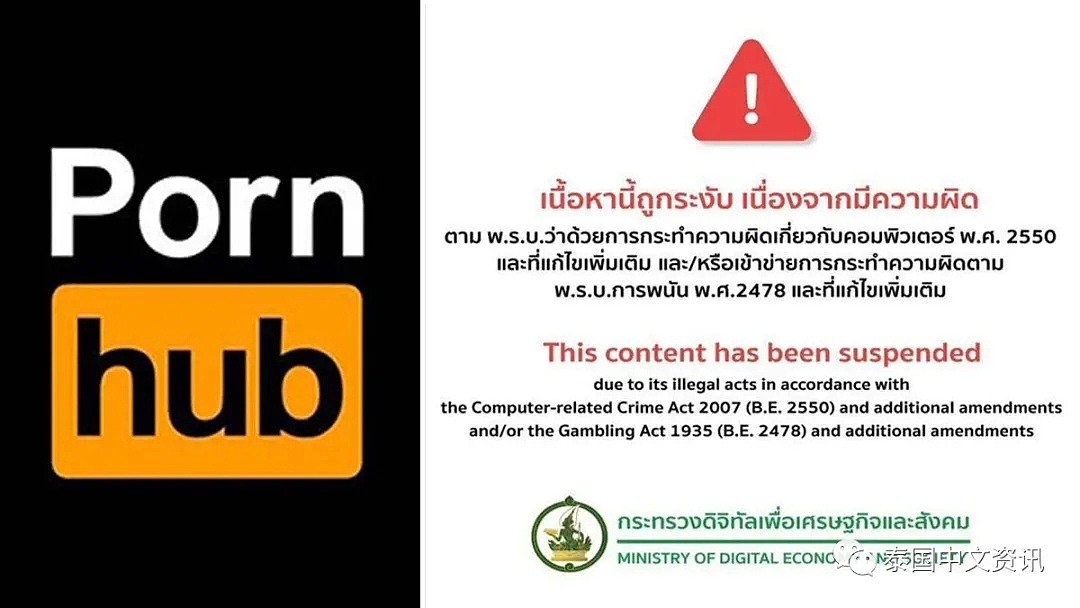 老司机炸锅！全球知名成人网站P站突然被封，网民急了：不让上P站我们就去示威（组图） - 1