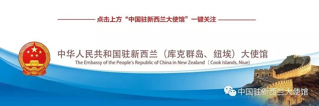 大使馆最新官宣！回国双阴检测有重大变化，新西兰华人必看（组图） - 4