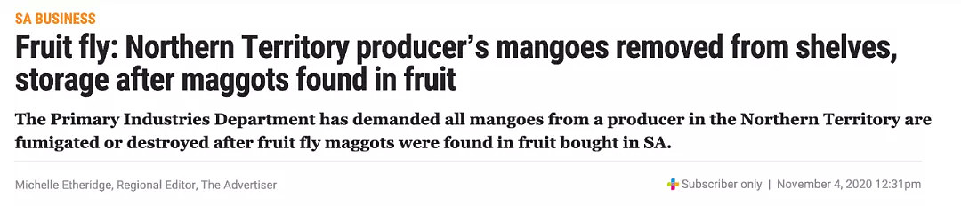 注意！澳洲芒果惊现果蝇卵，当局紧急撤下同批次芒果，实施杀虫或销毁（组图） - 2