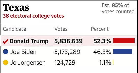 美国大选胜负难分！拜登拿下赛点，离当选只差一州，最大输家却提前出炉（组图） - 5