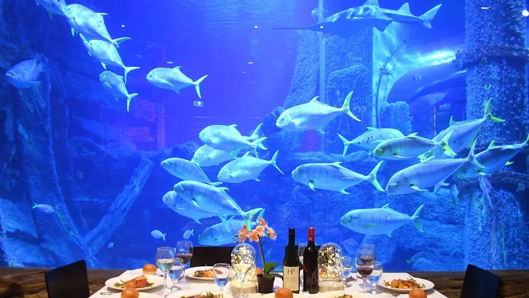 墨尔本海底世界主题餐厅明日上线！刷新墨尔本最贵餐厅记录（组图） - 4