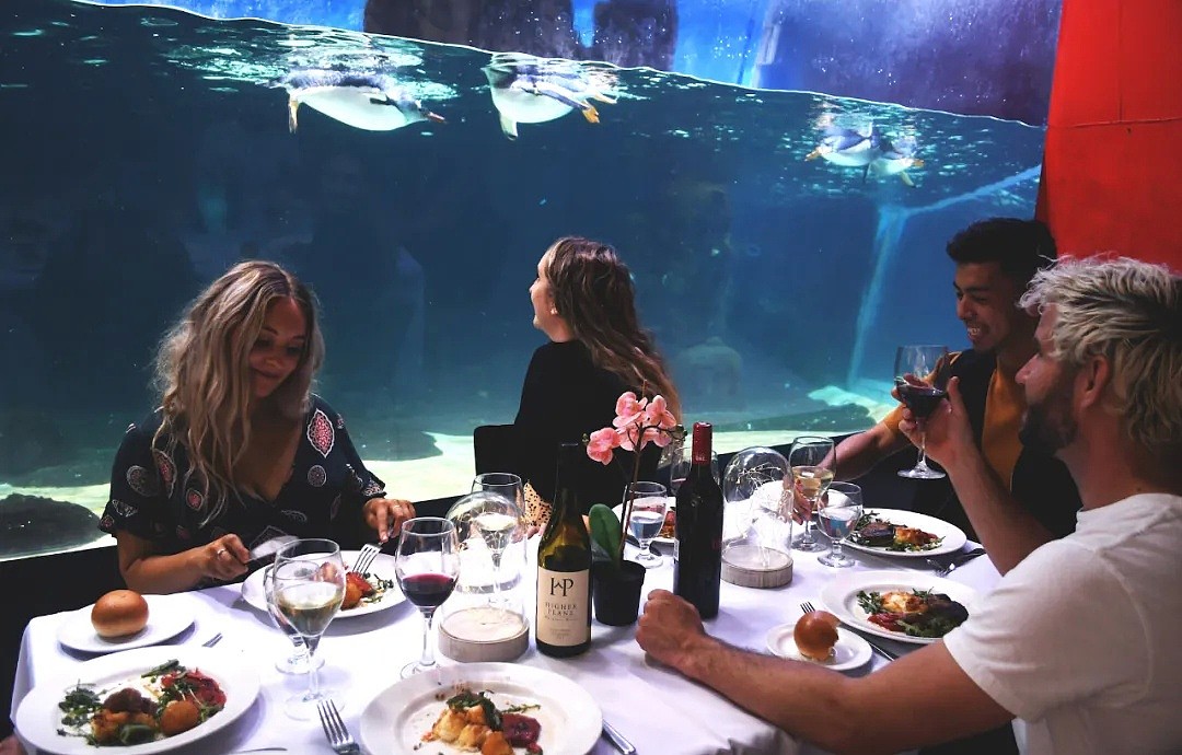 墨尔本海底世界主题餐厅明日上线！刷新墨尔本最贵餐厅记录（组图） - 3