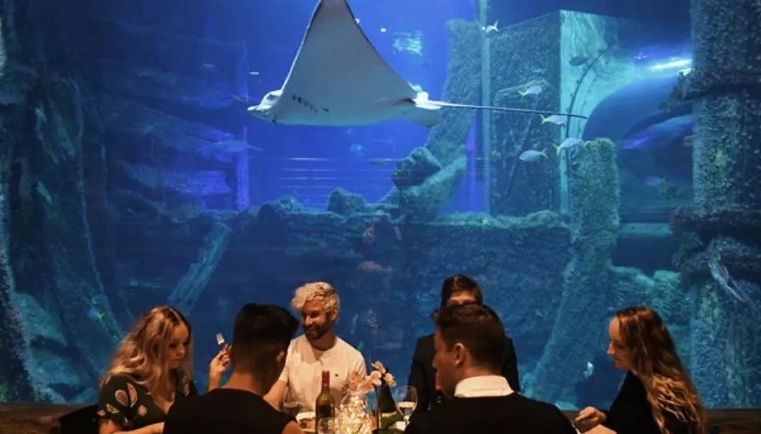墨尔本海底世界主题餐厅明日上线！刷新墨尔本最贵餐厅记录（组图） - 7