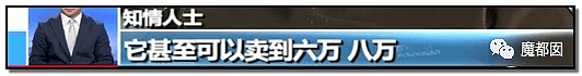 心脏支架竟可从1万3降到700！到底是谁在吸中国老百姓的血汗钱？（组图） - 38