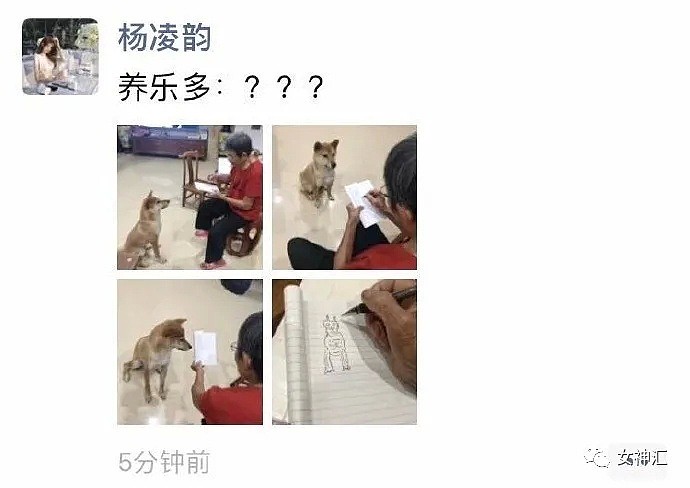 【爆笑】“救命！你胖到快递速度都追不上？”X宝客服骚操作曝光，哈哈哈太野了（视频/组图） - 15