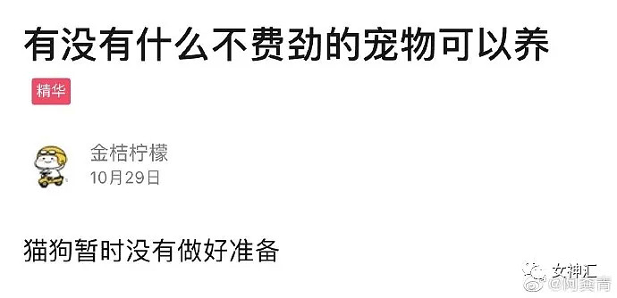 【爆笑】“救命！你胖到快递速度都追不上？”X宝客服骚操作曝光，哈哈哈太野了（视频/组图） - 46