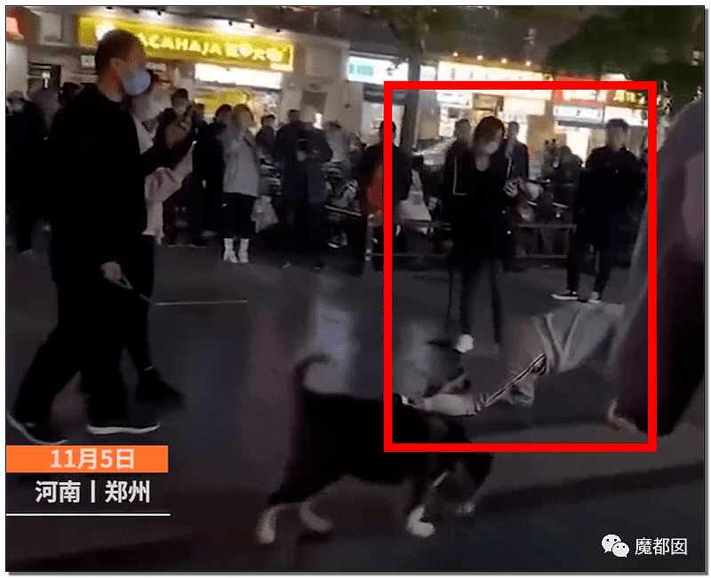 性虐、皮鞭、字母圈…震撼全中国的郑州街头狗爬门真相揭露！（视频/组图） - 1