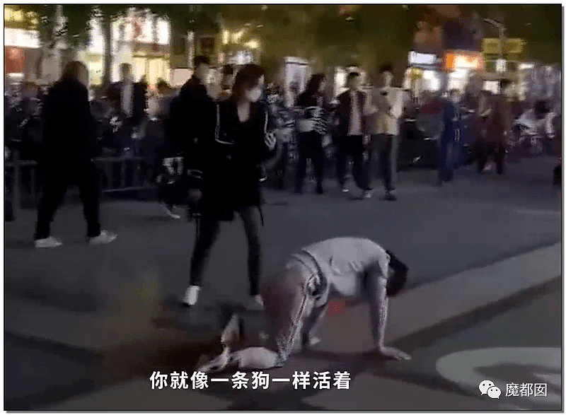 性虐、皮鞭、字母圈…震撼全中国的郑州街头狗爬门真相揭露！（视频/组图） - 18