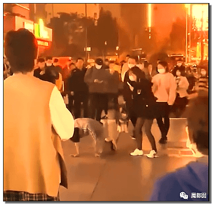 性虐、皮鞭、字母圈…震撼全中国的郑州街头狗爬门真相揭露！（视频/组图） - 21