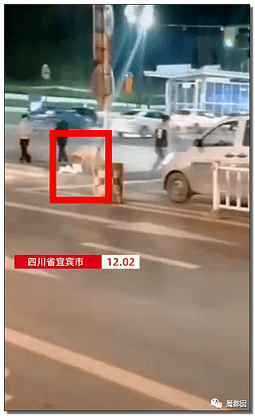 性虐、皮鞭、字母圈…震撼全中国的郑州街头狗爬门真相揭露！（视频/组图） - 40