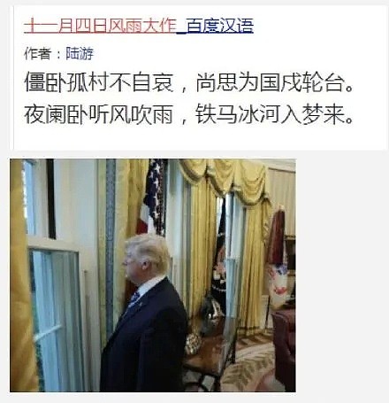 拜登当选美国新总统？特朗普拒接受！大选版《复仇者联盟》亮了（组图） - 29