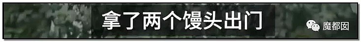 暴怒！无辜快递员、过路女子莫名被跳楼者砸死，这算什么？（组图） - 21