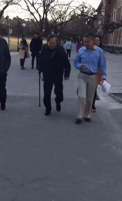 98岁华裔学家杨振宁不用搀扶健步如飞，而翁帆却在一点点的衰老！（视频/组图） - 2