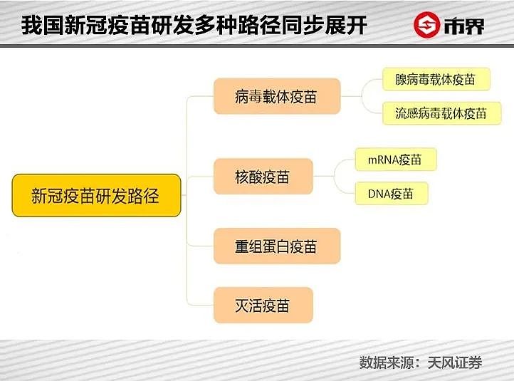 新冠疫苗快来了 要不要去打？贵不贵？打哪种？（组图） - 4