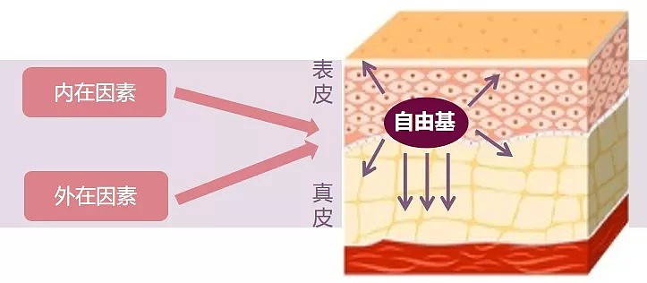 51岁邓文迪再爆新恋情！世界顶尖高富帅，这才是真本事...网友：刘强东真的错怪她了！ - 9