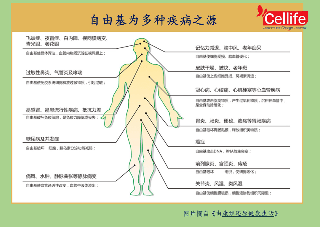 51岁邓文迪再爆新恋情！世界顶尖高富帅，这才是真本事...网友：刘强东真的错怪她了！ - 12