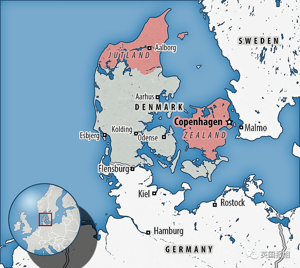 怕被传染新冠，丹麦下令杀光全国1700万只水貂（组图） - 12