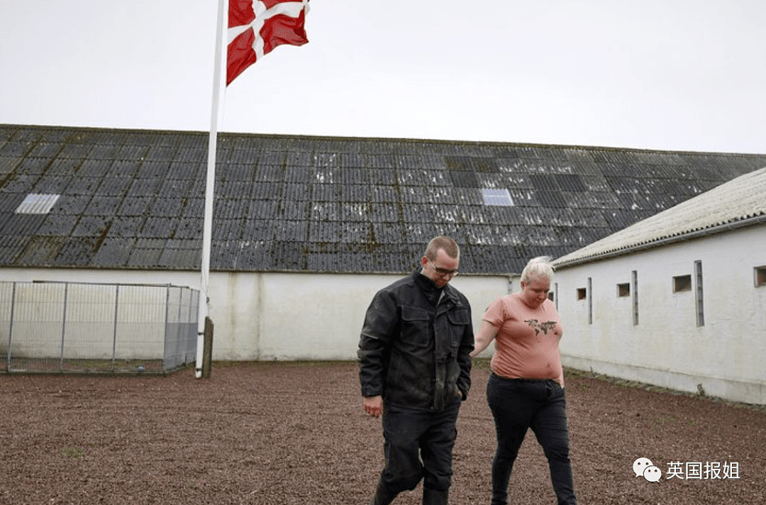 怕被传染新冠，丹麦下令杀光全国1700万只水貂（组图） - 25
