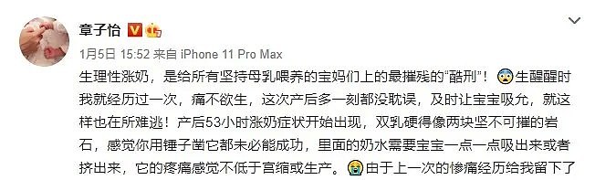 赵丽颖产后偷拍照曝光，网友炸了：生个孩子你怎么变成这样了（组图） - 13