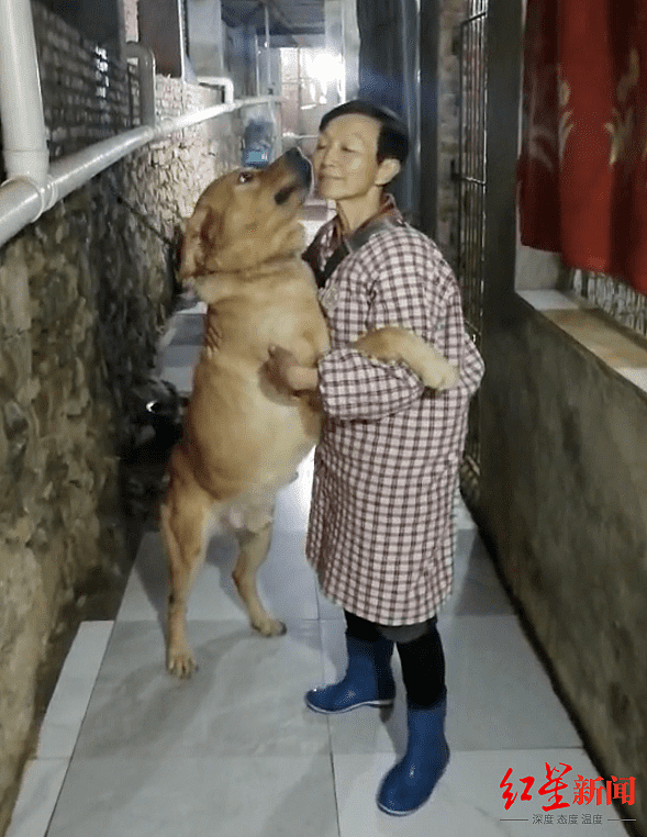 重庆一老人卖房收养上千只动物引质疑：6次搬家，每月花8万（组图） - 1