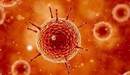 惊恐！新冠病毒在体内突变4次，男子煎熬154天后惨死，疫苗药物都没用（组图） - 5