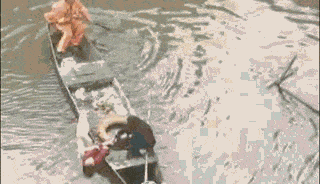 气愤！5秒视频看怒了，中国小伙救起落水女子，却被她一脚踹下了河…（视频/组图） - 3