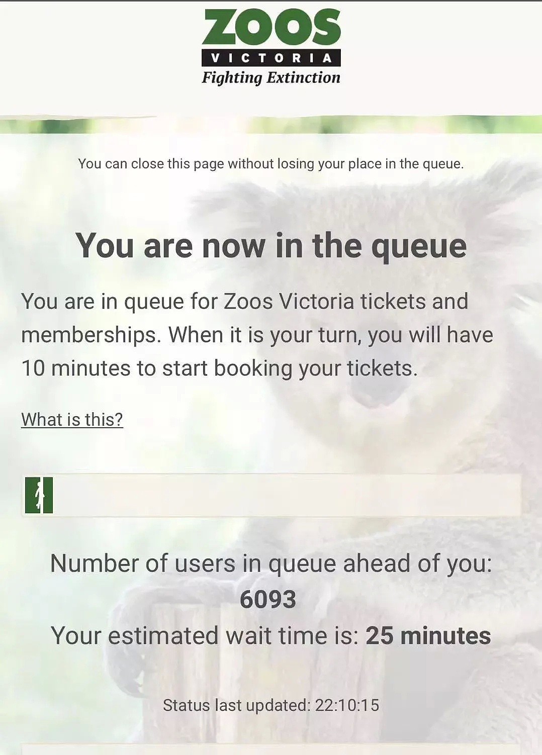 系统恢复！比周董演唱会还难抢，Melbourne Zoo正式开放，可以订票啦～ - 1