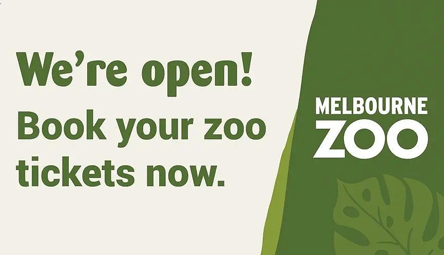 系统恢复！比周董演唱会还难抢，Melbourne Zoo正式开放，可以订票啦～ - 4