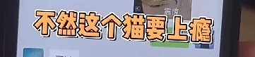 【爆笑】老公跟我结婚的时候，竟然还带了「四位新郎」？我不知道该笑还是该哭了...（视频/组图） - 6